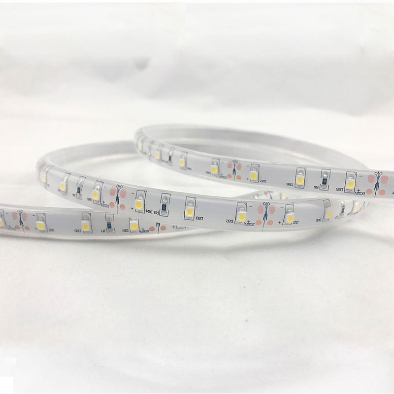 3528 Strip-60led/m-IP68