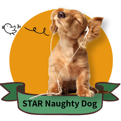 STAR Naughty Dog顽皮狗狗行为纠正